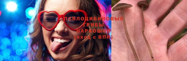 дурь Осинники