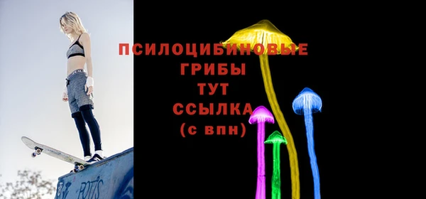 дурь Осинники