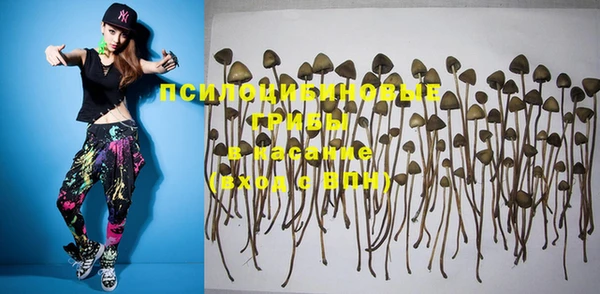 apvp Переславль-Залесский