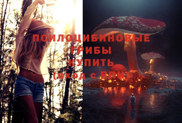 гидропоника Осташков