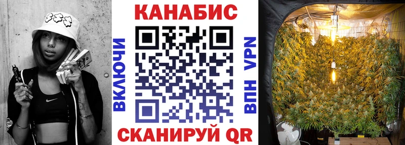 Бошки марихуана конопля Майкоп